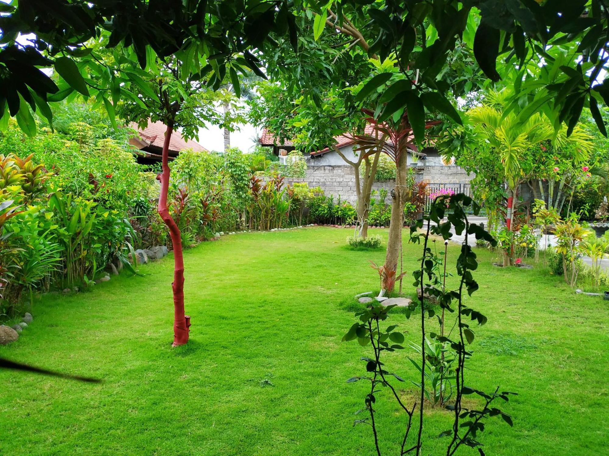 Asih Homestay Pemuteran Buitenkant foto