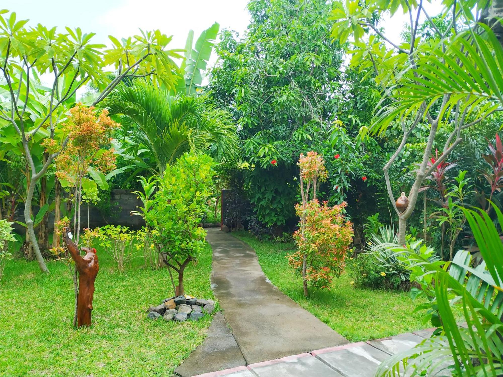 Asih Homestay Pemuteran Buitenkant foto